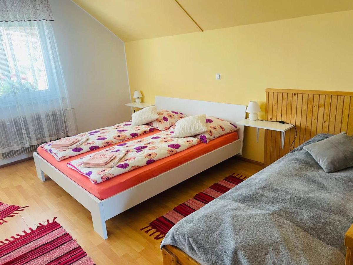 Apartma Pavla Spodnje Gorje Exteriér fotografie