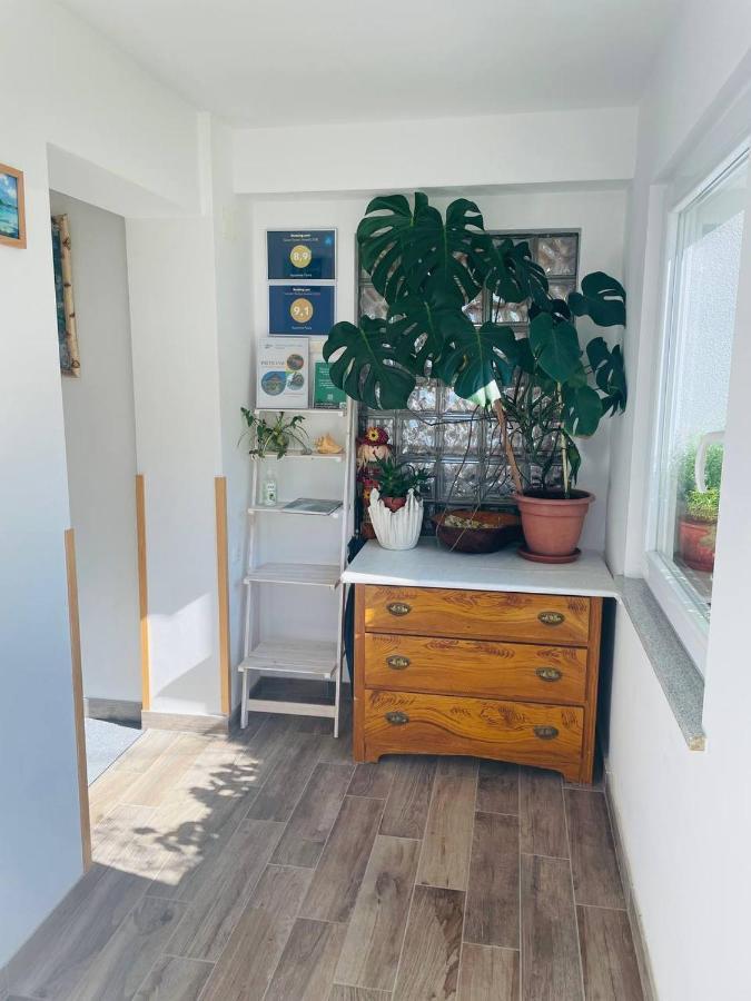Apartma Pavla Spodnje Gorje Exteriér fotografie
