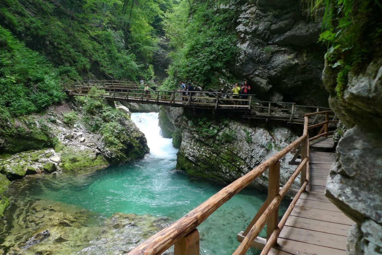 Apartma Pavla Spodnje Gorje Exteriér fotografie